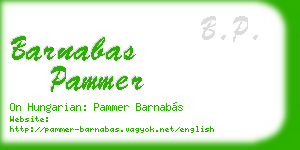 barnabas pammer business card